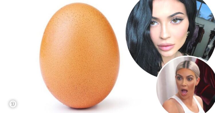 Instagram | @world_record_egg