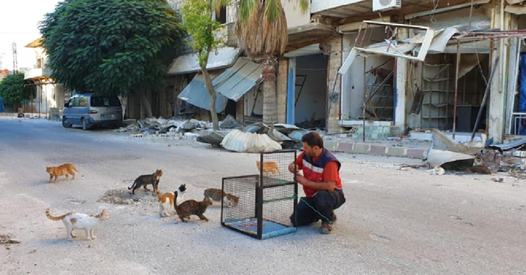 Facebook | Ernesto’s Sanctuary for Cats in Syria