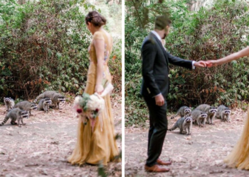 Kathryn White Photography
