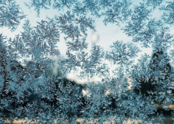 Unsplash