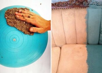 Hometalk | Homeology.co.za
