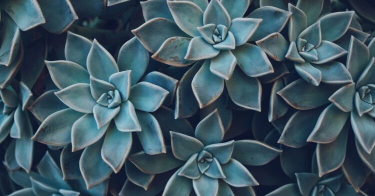 Unsplash | Blanca Paloma Sánchez
