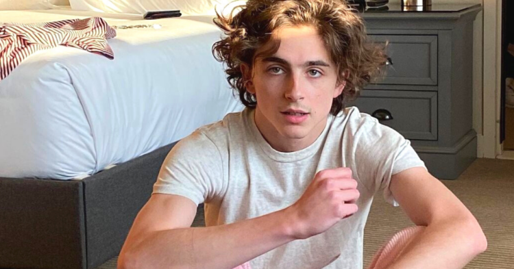Instagram | @tchalamet