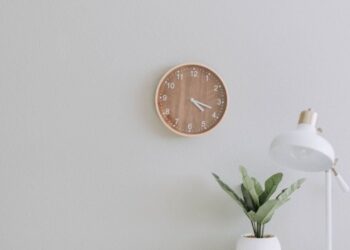 Unsplash | Samantha Gades