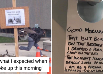 Reddit
