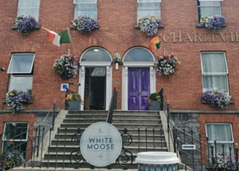 Instagram | @whitemoosecafe
