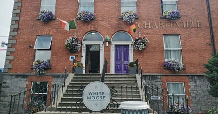 Instagram | @whitemoosecafe
