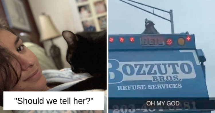 Reddit