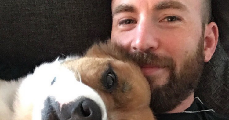 Instagram | @chrisevans