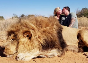 Facebook | Legelela Safaris