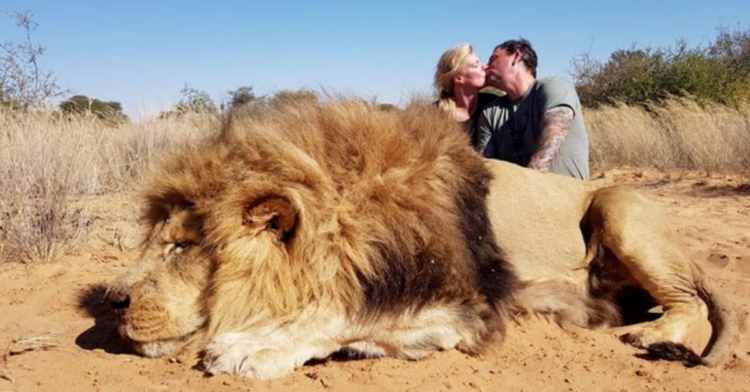 Facebook | Legelela Safaris