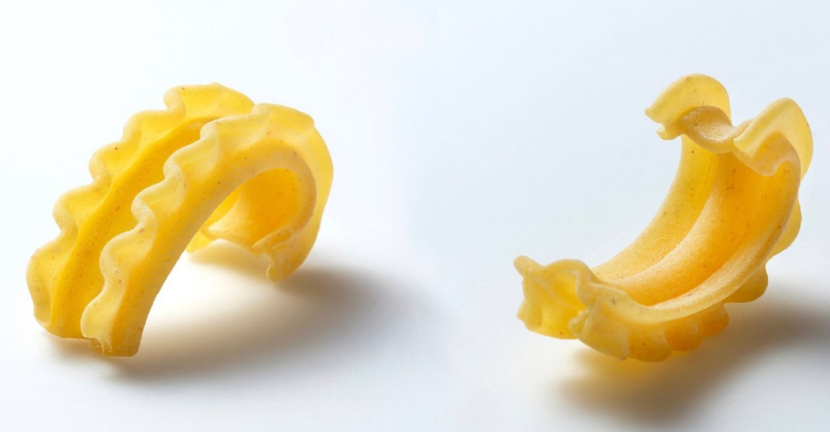 Filibustre