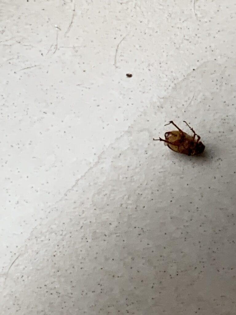 Dirty Bathroom Reddit Post