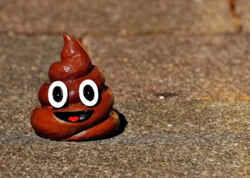 An image of a 3D poop emoji with a smiling face that sits on top of concrete.