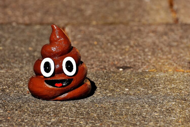 An image of a 3D poop emoji with a smiling face that sits on top of concrete.