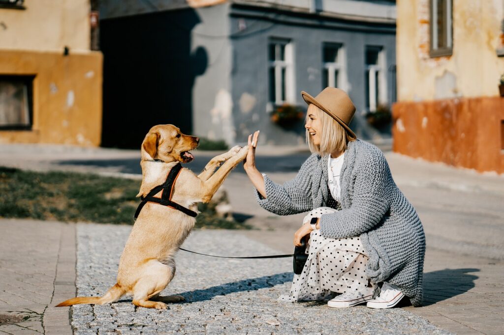 A white woman giving a high five to a dog with golden fur
