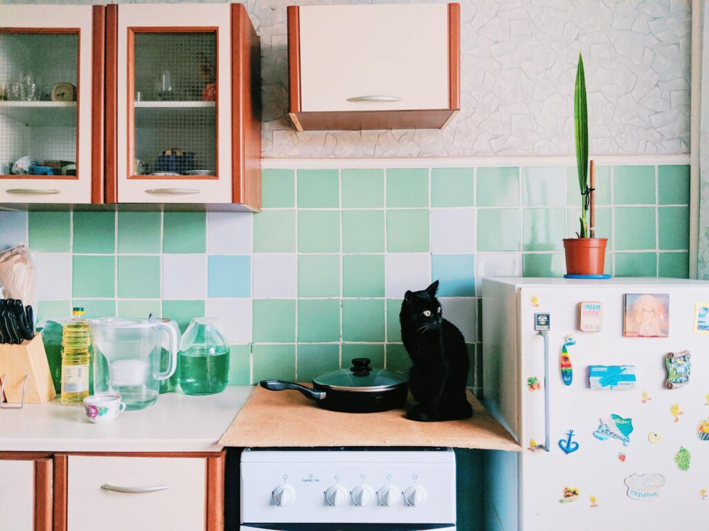 Black cat sitting on stove in kitchen with cupboards