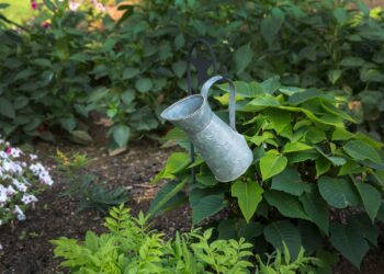 gray watering can