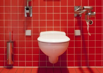 wc, toilet, public toilet