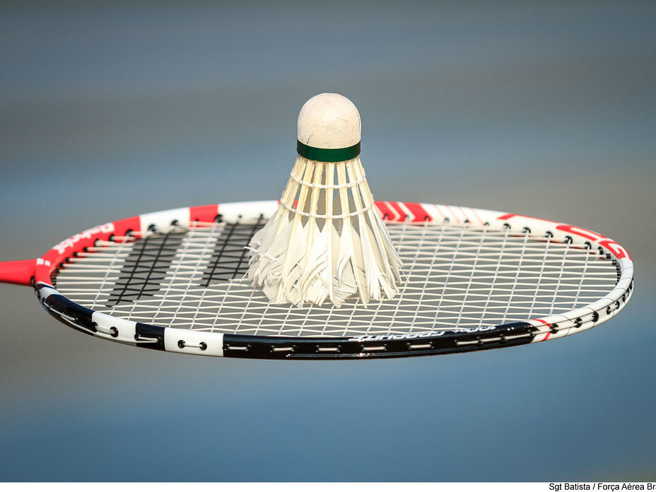 Badminton racket and birdie