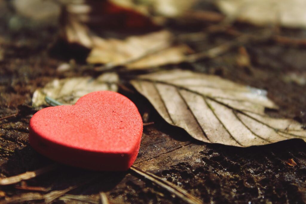 Close-up of Heart Shape