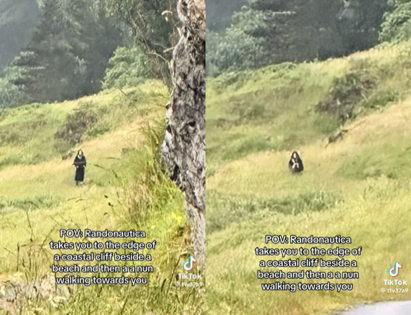 dual screenshots of a person who looks like a nun walking in grass