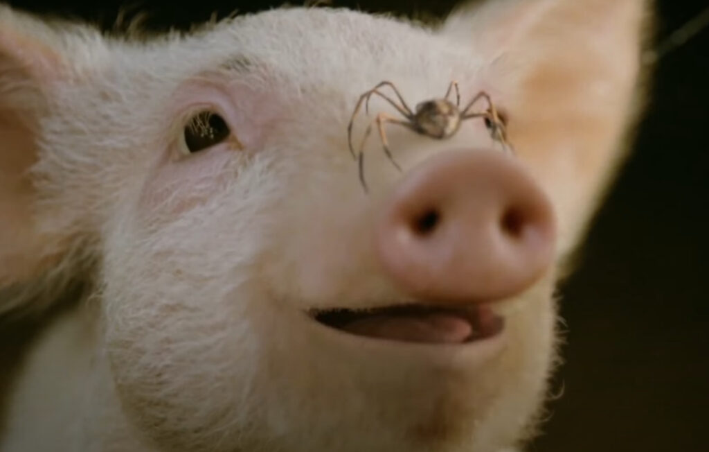 Wilbur and Charlotte from Charlotte’s Web