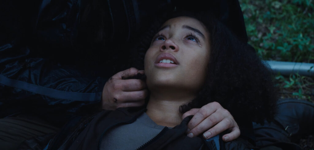 Rue dies while being held by Katniss in The Hunger Games