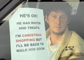 a man in a car with a sign taped to the window that says “he’s ok! he has water and has treats. i’m christmas shopping but i’ll be back to walk him soon.”