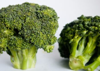 two broccoli heads