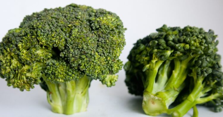 two broccoli heads