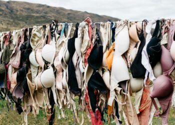 assorted bras hanged on wire