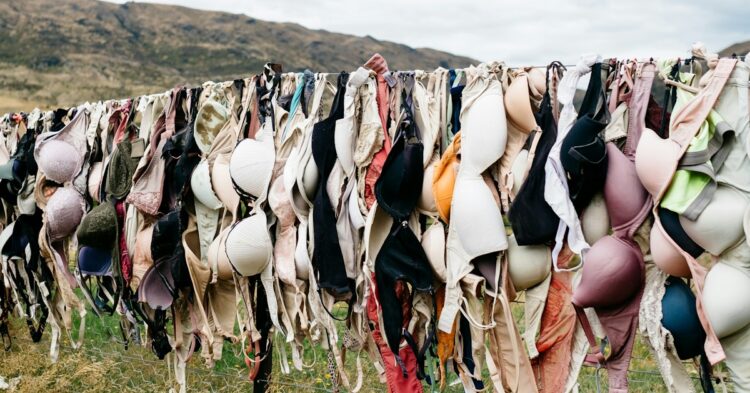 assorted bras hanged on wire