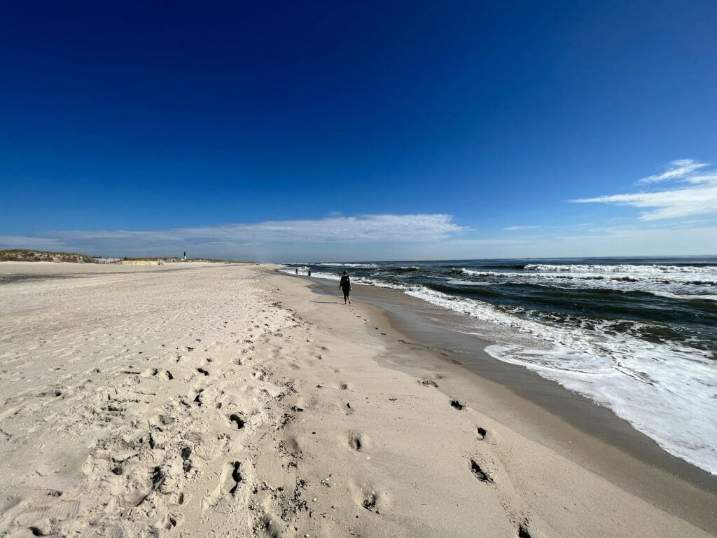 a person walking on a beach