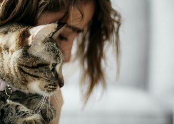 woman holding a tabby cat near her face