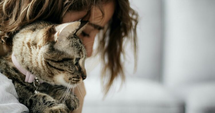 woman holding a tabby cat near her face
