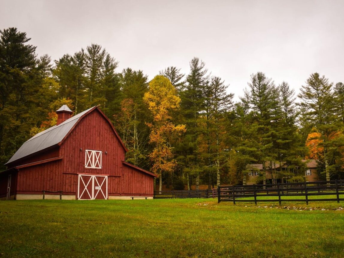 barn surrounded by trees