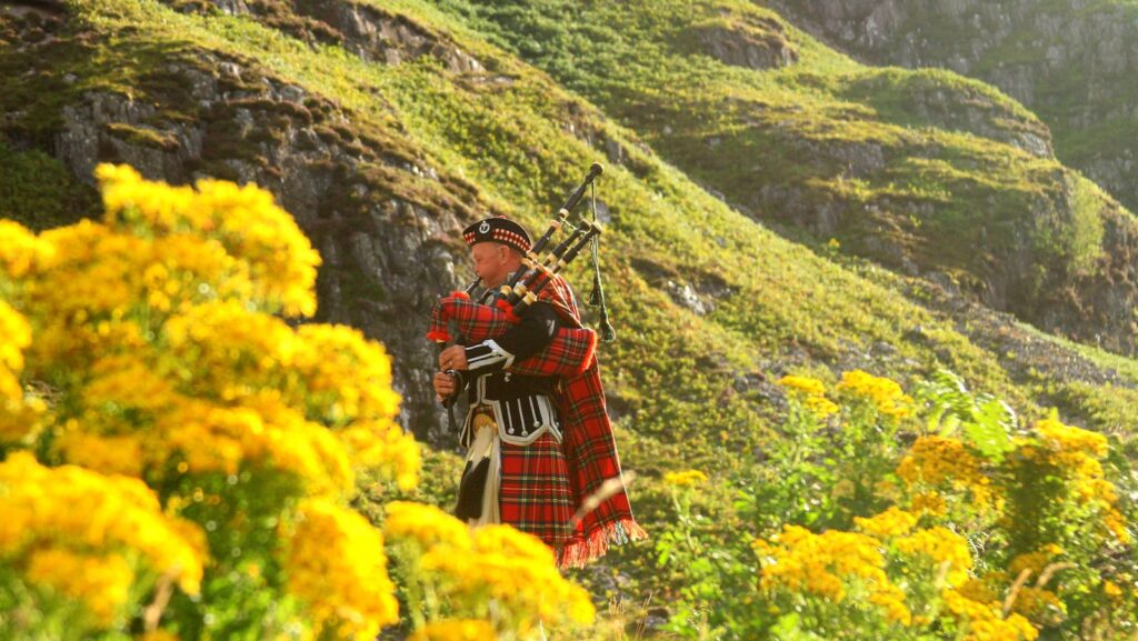 Photo of a Man in Red, Black, and White Plaid Traditional Suit on Yellow Flower Field