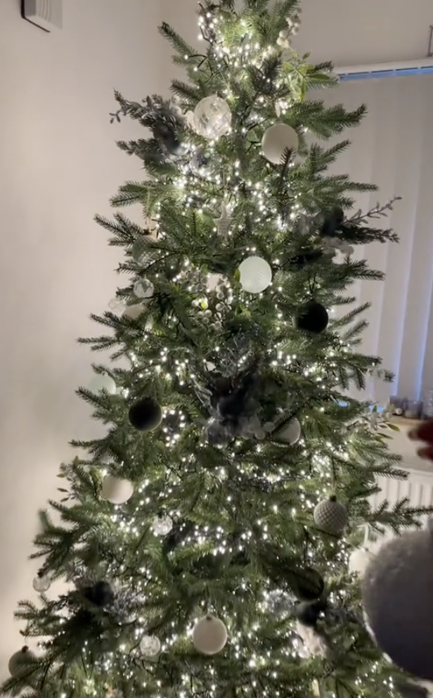 Christmas tree decorations on TikTok