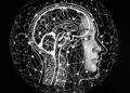 brain outline in black and white with woman's face