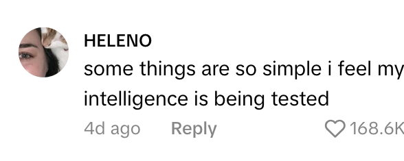 TikTok comment