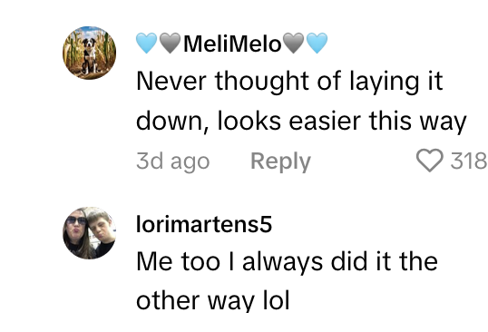 TikTok comments