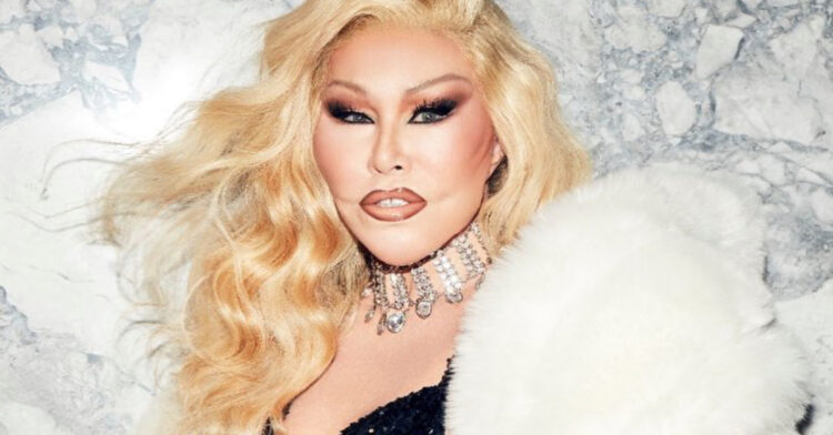 A photo of Jocelyne Wildenstein