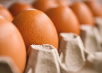 Eggs carton
