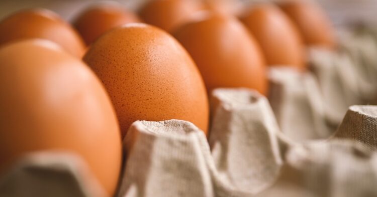 Eggs carton