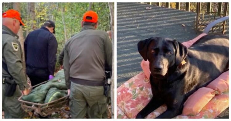 Dog that saved woman by sitting on her chest