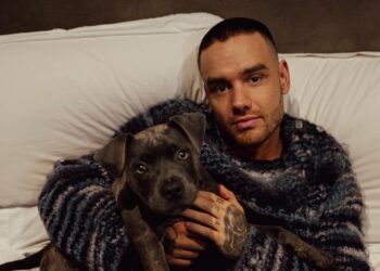 Liam Payne with dog