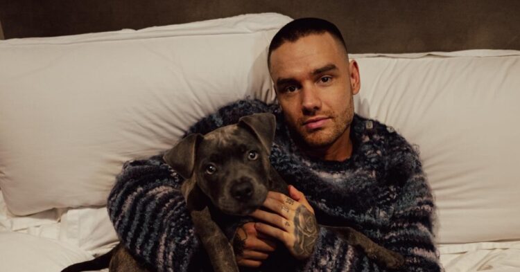 Liam Payne with dog