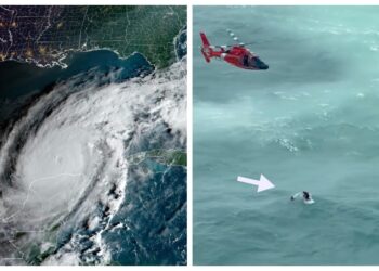 Hurricane rescue