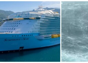 Cruise ship